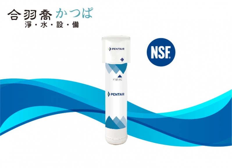 PENTAIR活性碳濾心 (預購商品)